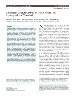 Antecedent Moisture Controls on Stream Nitrate Flux in an
