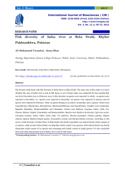 Fish diversity of Indus river at Beka Swabi, Khyber Pakhtunkhwa