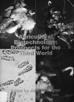 Agricultural Biotechnology: Prospects for the Third World