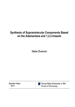 &Scaron;ablona -- Diplomov&aacute; pr&aacute;ce (ft)