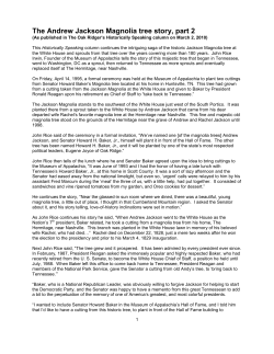 The Andrew Jackson Magnolia tree story, part 2