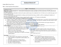 Glenbard District 87