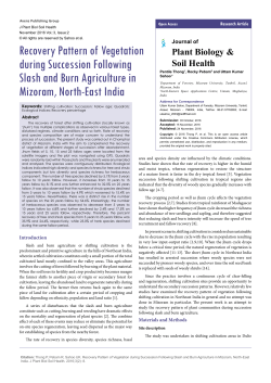 Recovery Pattern of Vegetation during Succession Following Slash