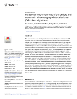Multiple osteochondromas of the antlers and cranium in a free