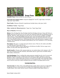 snap peas please - EarthDance Farms