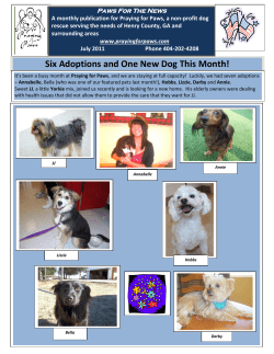 July 2011 - Praying For Paws