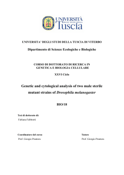 Genetic and cytological analysis of two male sterile