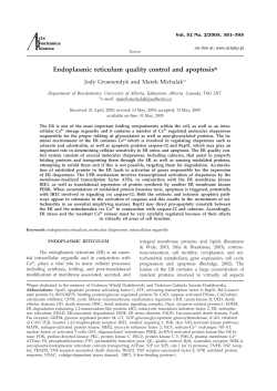 Endoplasmic reticulum quality control and apoptosis