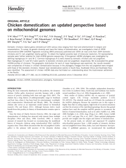 Chicken domestication: an updated perspective based on
