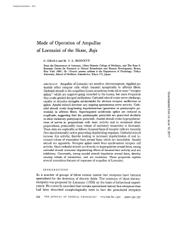 Mode of Operation of Ampullae of Lorenzini of the Skate, Raja