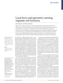 Local force and geometry sensing regulate cell functions