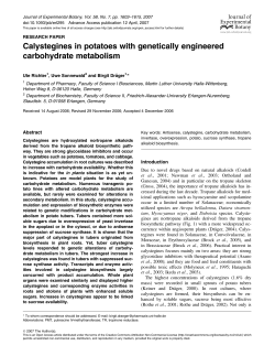 Calystegines in potatoes with genetically engineered carbohydrate