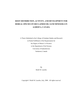 Root distribution, activity, and development on reclaimed oil sands
