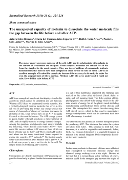 The unexpected capacity of melanin to