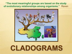 CLADOGRAMS