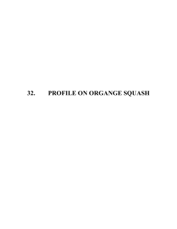 32. profile on organge squash