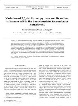 Full text in pdf format