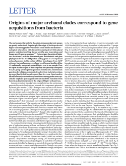 Origins of major archaeal clades correspond to gene acquisitions