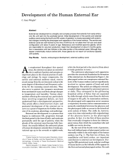 Development of the Human External Ear
