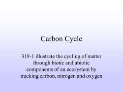 Carbon Cycle