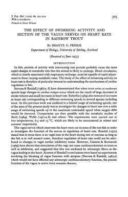 the effect of swimming activity and section of the vagus nerves on