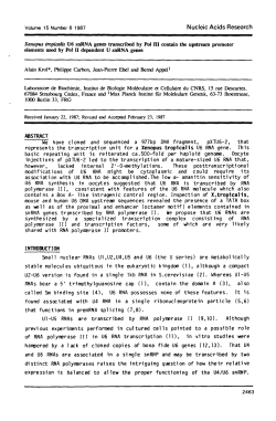 Se have cloned and sequenced a 977bp DNA fragment, pXTU6