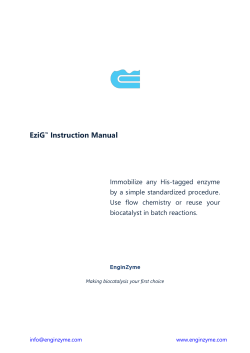 EziG&trade; Instruction Manual