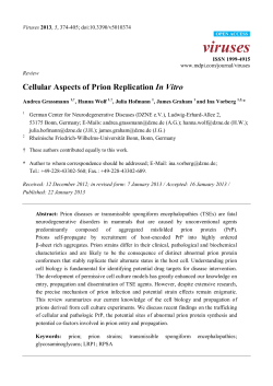 Cellular Aspects of Prion Replication In Vitro