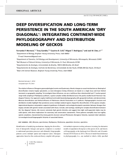deep diversification and longterm persistence in the south american