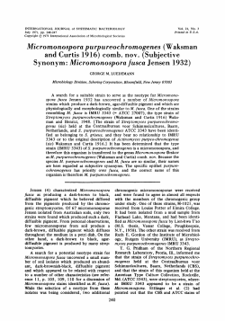 Micromonospora purpureochromogenes (Waksman Synonym