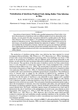 Neutralization of Interferon Produced Early during Rabies Virus