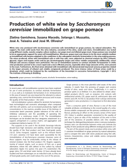Production of white wine by Saccharomyces cerevisiae immobilized