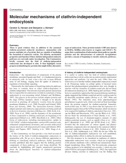 Molecular mechanisms of clathrin