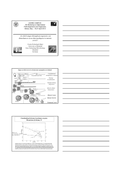 At which stages can meiotic errors occur throughout oogenesis?