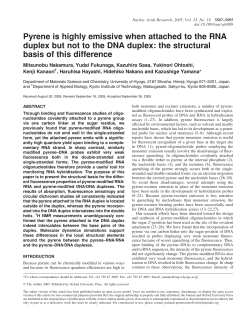 Pyrene is highly emissive when attached to the RNA duplex but not