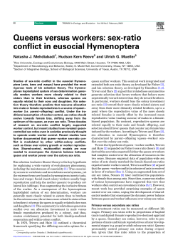 Queens versus workers: sex-ratio conflict in eusocial Hymenoptera