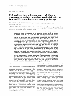 Cell proliferation enhances entry of Listeria monocytogenes into