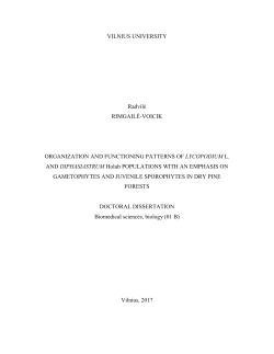 Organization and Functioning Patterns of Lycopodium L. and