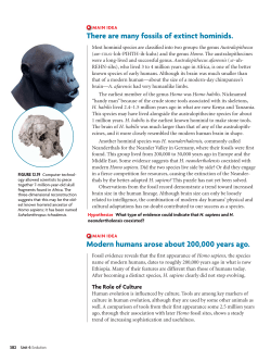 There are many fossils of extinct hominids