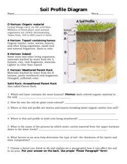 Soil Profile Diagram
