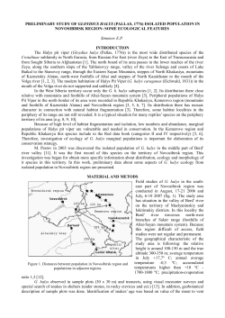PRELIMINARY STUDY OF GLOYDIUS HALYS (PALLAS, 1776