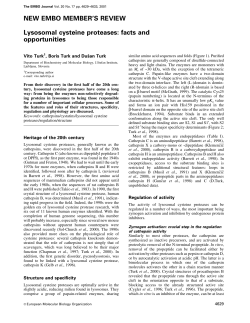 Lysosomal cysteine proteases: facts and