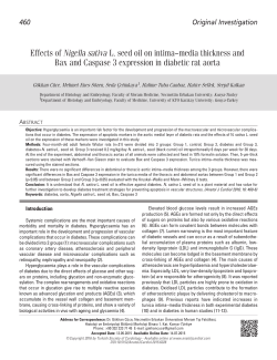 Effects of Nigella sativa L. seed oil on intima&ndash;media