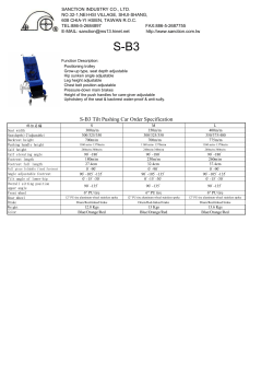 S-B3 Tilt Pushing Car Order Specification