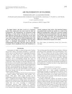 air transmissivity of feathers - Journal of Experimental Biology