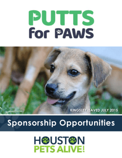 Sponsorship Opportunities