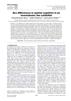 Sex differences in spatial cognition in an invertebrate: the cuttlefish