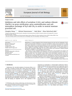 (NaClO3) on gross nitrification, gross ammonification and so