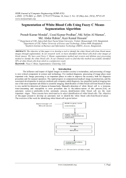 Segmentation of White Blood Cells Using Fuzzy C Means