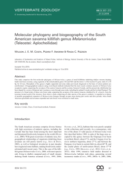 Molecular phylogeny and biogeography of the South American